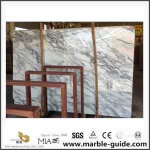 Naravni kamen Arabescato Venato Marmorna plošča za dvorano z belimi barvami